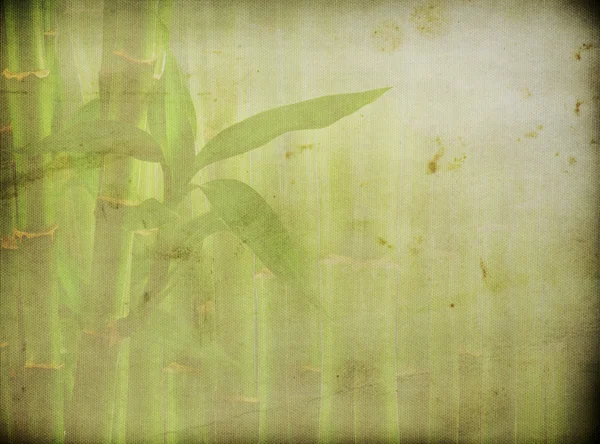 Гранж бамбук фону — стокове фото
