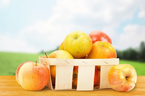 Friske og farverige æbler i kurv - Stock-foto
