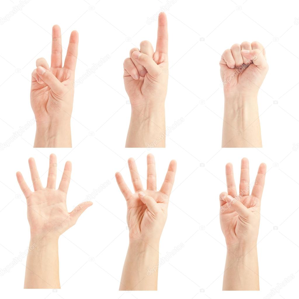 Counting human hands (0 to 5)