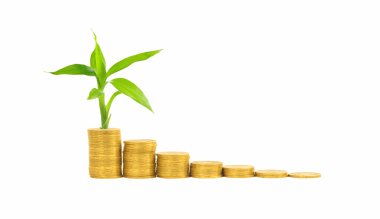 Altın sikkeler ve bitkiler beyaza izole edilmiş.