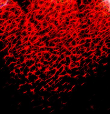 arka plan bulanık sihirli neon ışıkları ile