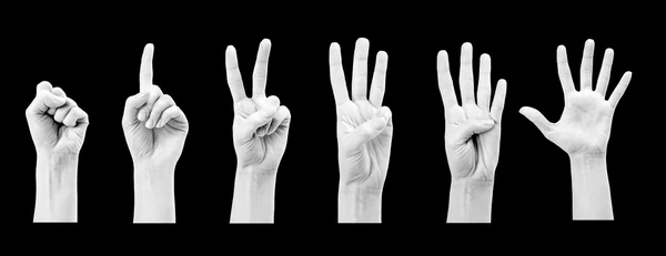 Contagem de mãos humanas (0 a 5 ) — Fotografia de Stock