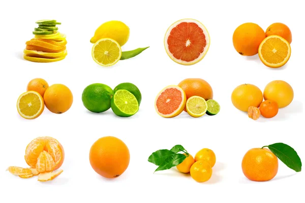 Set of citrus fruits on white background — Stock Photo, Image