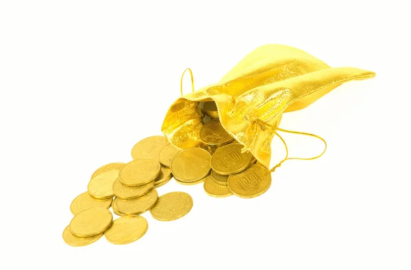 황금 가방에 돈 동전 — 스톡 사진