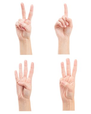 Kadın eller (1-4 sayma)