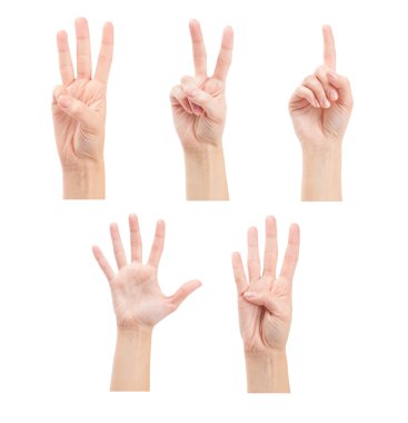 İnsan eli (1-5 sayma)