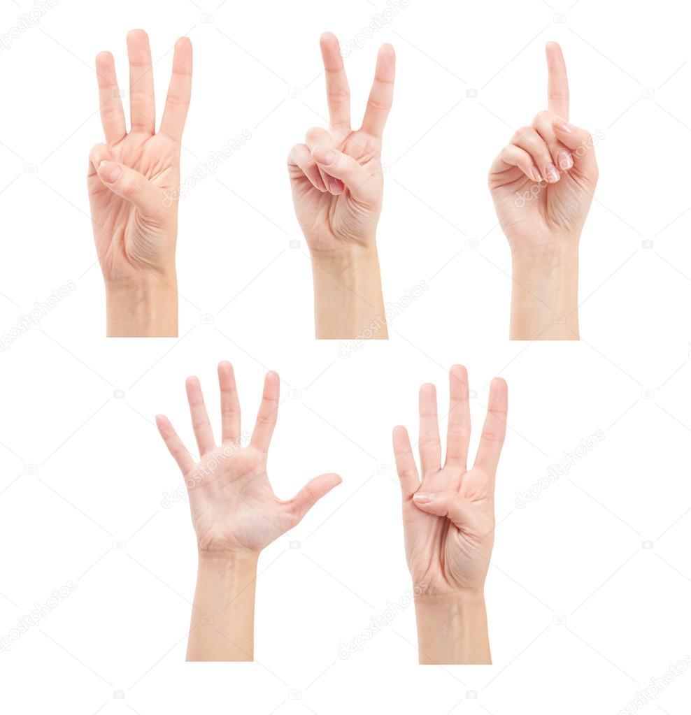 Counting human hands (1 to 5)