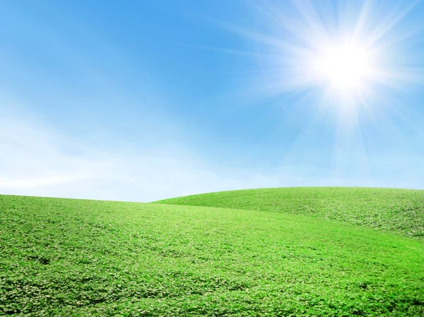 Schöne Sommerlandschaft — Stockfoto