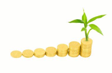 altın sikke ve bitki