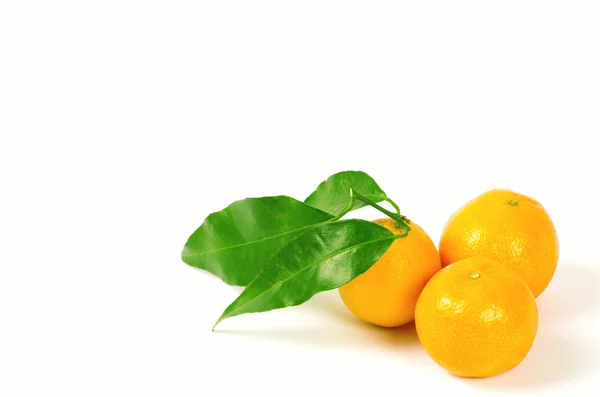 Tangerines with green leaves — Stock Photo, Image