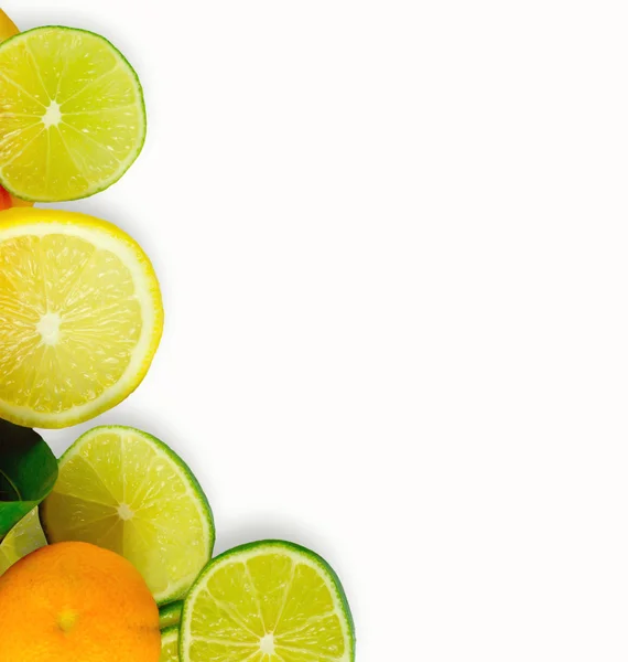 Plátky čerstvých citrusů — Stock fotografie