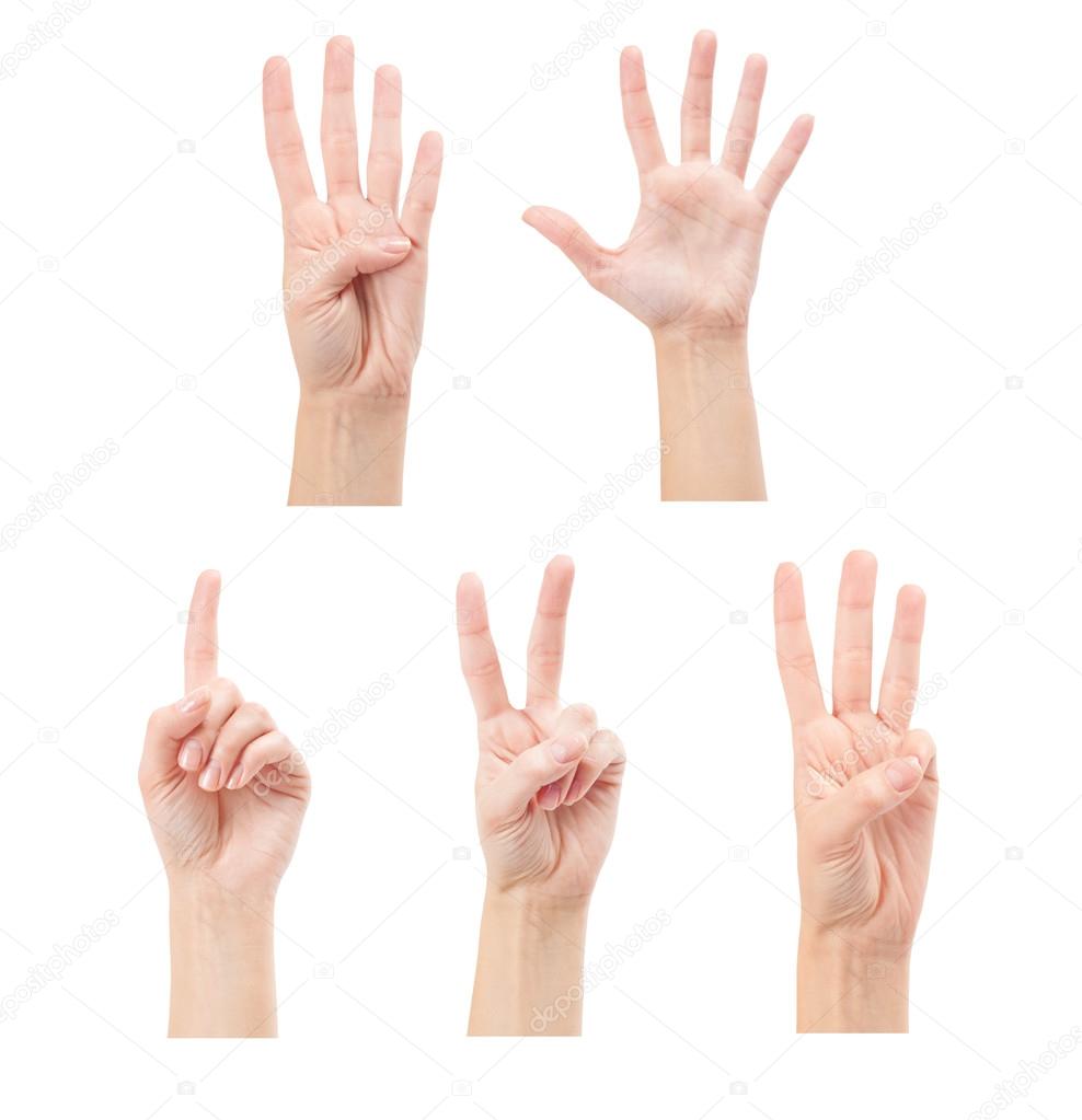 Counting woman hands (1 to 5)