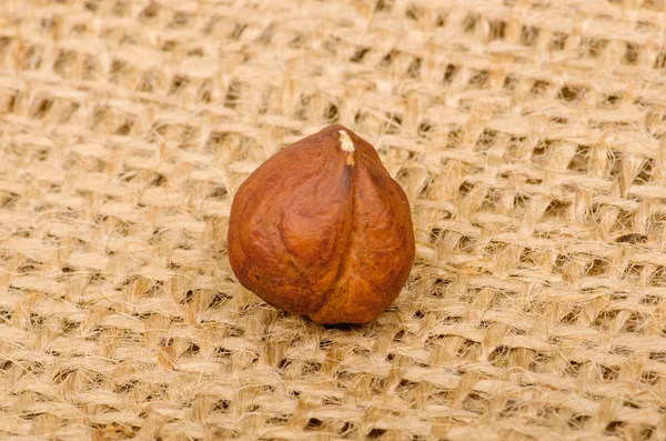 Hazelnut close-up di burlap — Stok Foto