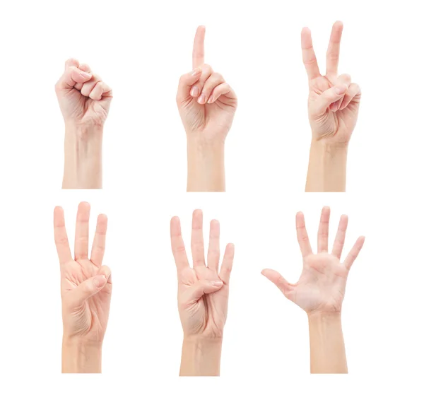 Counting woman hands — Stock Photo, Image