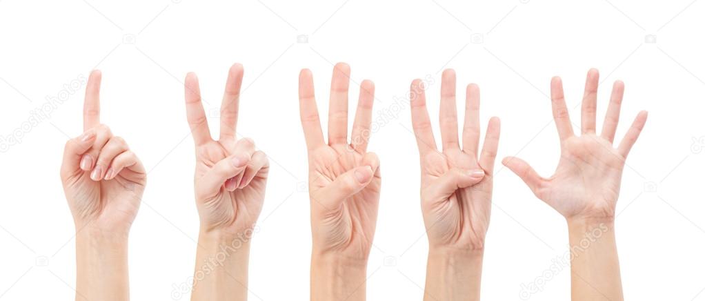 Counting woman hands (1 to 5)