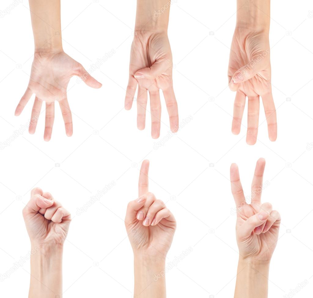 Counting woman hands (0 to 5)