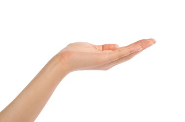 Güzel kadın eli, palmiye kadar