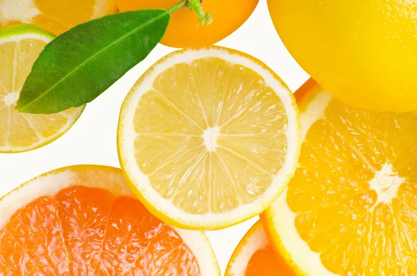 Mix of citrus slices — Stock Photo, Image