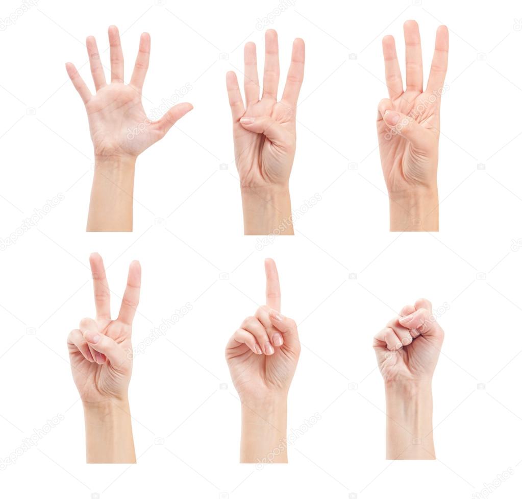 Counting woman hands (0 to 5)