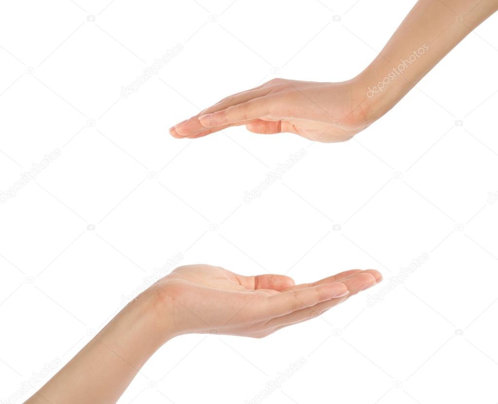 beautiful woman's hand