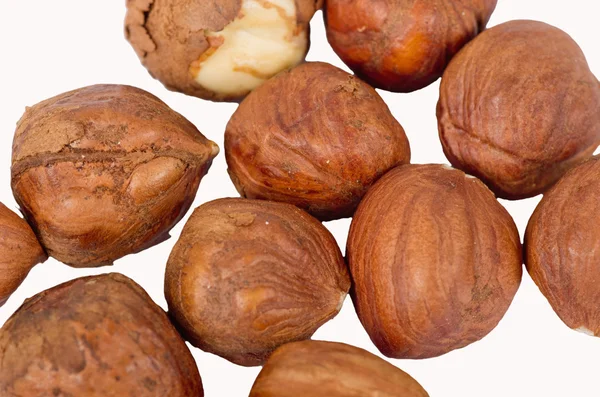 Hazelnut diisolasi pada warna putih — Stok Foto