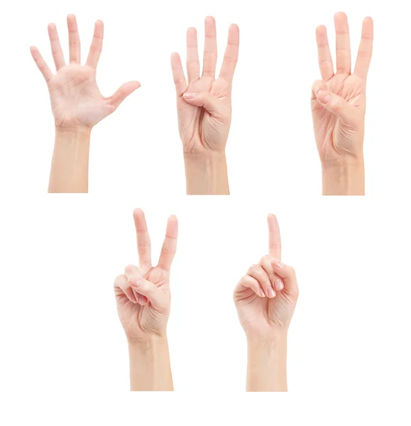 Counting woman hands — Stock Photo, Image