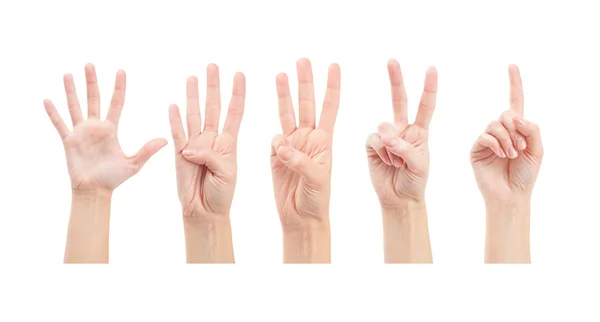 Counting woman hands — Stock Photo, Image