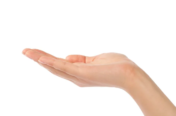 Close Up Of Beautiful Woman S Hand Palm Up Pleading Stretched Stock Photo Close Up Of Beautiful Woman S Hand Palm Up Pleading Stretched Stock Photo