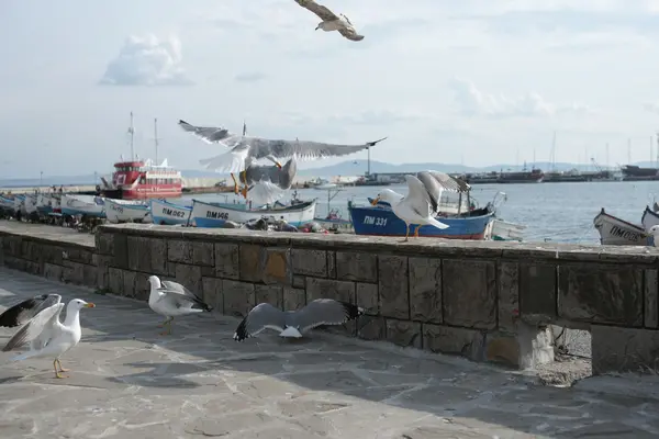 Чаи на набережной прибрежного города — стоковое фото