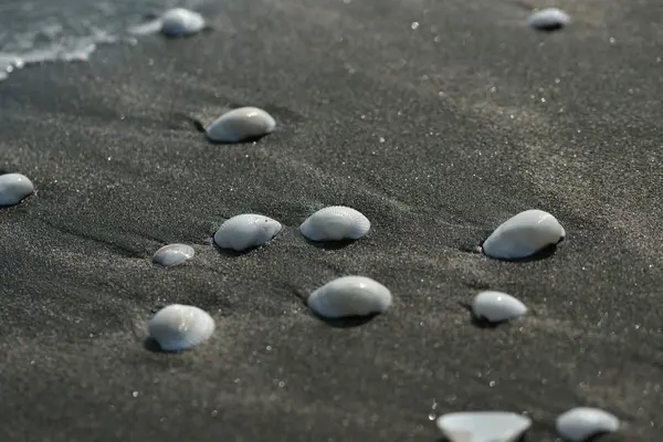 Weiße Muscheln auf schwarzem Sand — Stockfoto