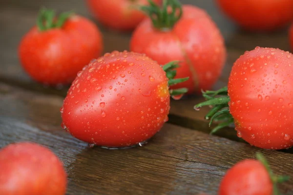 Винтажный красный помидор крупным планом — стоковое фото