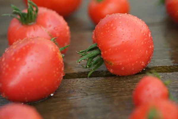 Rote Tomaten in Nahaufnahme — Stockfoto