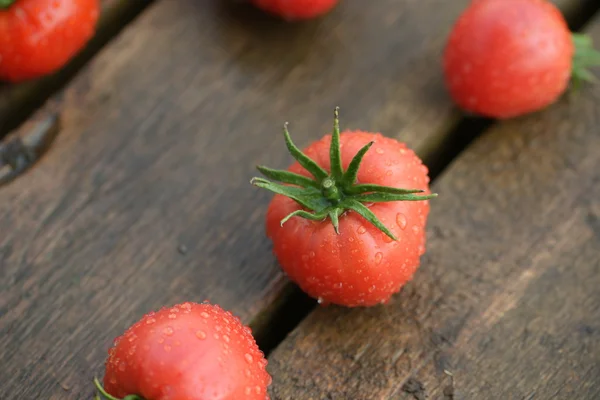 Vintage tomate rojo primer plano — Foto de Stock