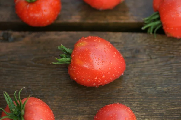 Vintage vermelho tomate close-up — Fotografia de Stock