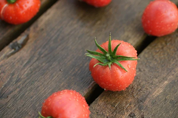 Vintage tomate rojo primer plano — Foto de Stock