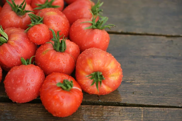 Vintage vermelho tomate close-up — Fotografia de Stock