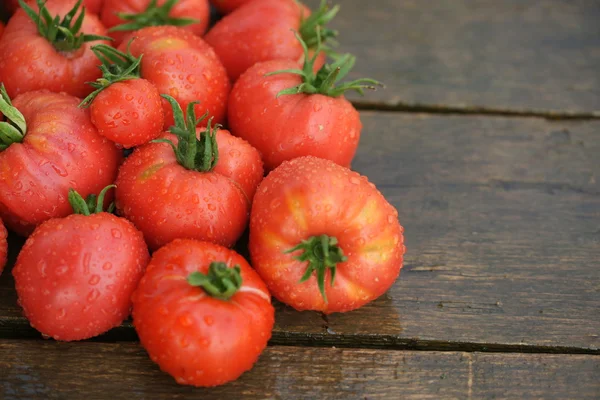Vintage tomate rojo primer plano — Foto de Stock