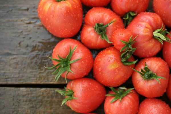 Rote Tomaten in Nahaufnahme — Stockfoto