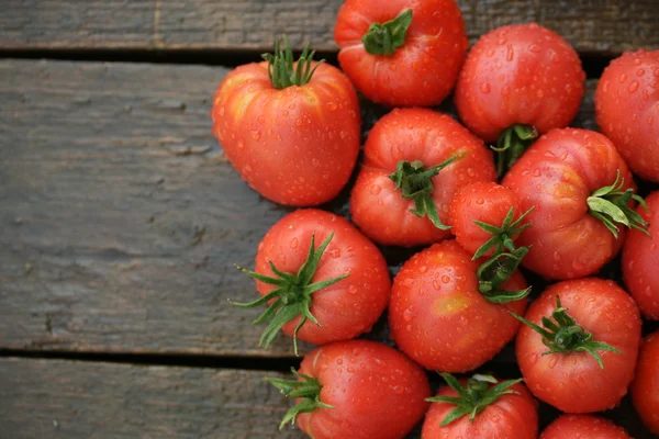 Rote Tomaten in Nahaufnahme — Stockfoto