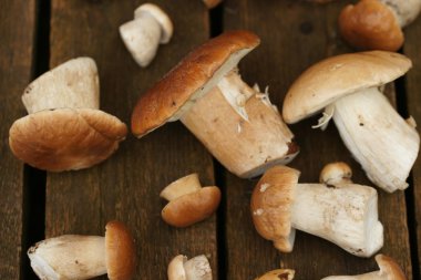 ahşap arka plan üzerinde toplanan mantar yalan