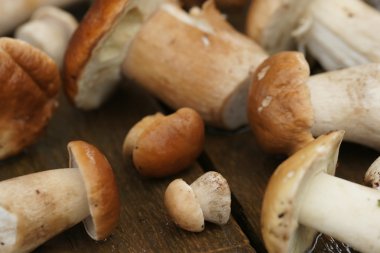 ahşap arka plan üzerinde toplanan mantar yalan