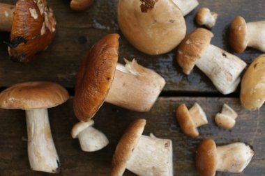 ahşap arka plan üzerinde toplanan mantar yalan