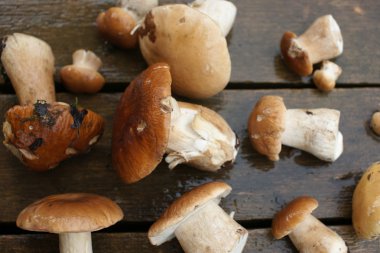 ahşap arka plan üzerinde toplanan mantar yalan