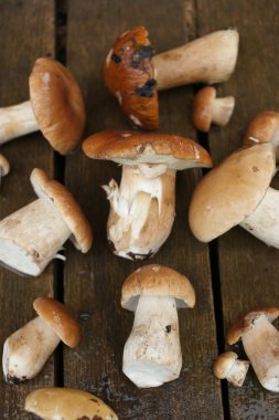 ahşap arka plan üzerinde toplanan mantar yalan