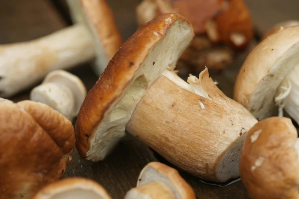 Gesammelte Pilze liegen auf einem Holzboden — Stockfoto