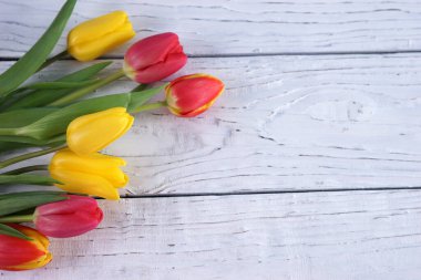 Beyaz bir tahtanın üzerinde kırmızı ve sarı laleler.