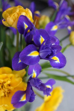 Sarı laleler ve irislerle bembeyaz bir buket