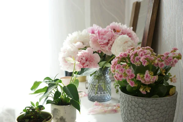 Bouquet Pink Peonies Dresser Bedroom — Stock Photo, Image