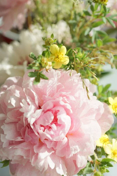 内地的粉红色牡丹花束 — 图库照片
