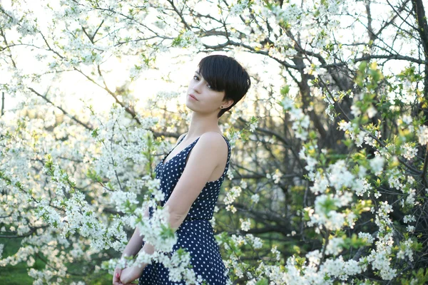 Chica en las flores de cerezo — Foto de Stock